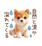 柴犬のネガティブなスタンプ✩.*˚（個別スタンプ：1）
