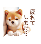 柴犬のネガティブなスタンプ✩.*˚（個別スタンプ：13）