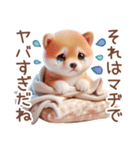 柴犬のネガティブなスタンプ✩.*˚（個別スタンプ：40）