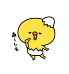 まいにちひよっこチョベリグ（個別スタンプ：3）