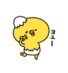 まいにちひよっこチョベリグ（個別スタンプ：4）