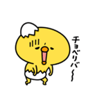 まいにちひよっこチョベリグ（個別スタンプ：10）