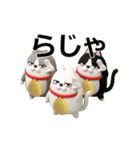 動く 3D三匹の擦れねこ2（個別スタンプ：2）