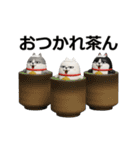 動く 3D三匹の擦れねこ2（個別スタンプ：3）