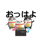 動く 3D三匹の擦れねこ2（個別スタンプ：4）