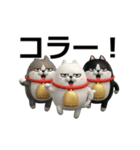 動く 3D三匹の擦れねこ2（個別スタンプ：6）