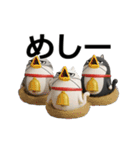 動く 3D三匹の擦れねこ2（個別スタンプ：7）