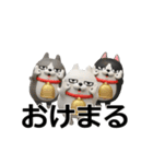 動く 3D三匹の擦れねこ2（個別スタンプ：8）