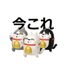 動く 3D三匹の擦れねこ2（個別スタンプ：12）