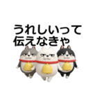 動く 3D三匹の擦れねこ2（個別スタンプ：16）