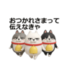 動く 3D三匹の擦れねこ2（個別スタンプ：18）