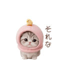 動く！スコティッシュ猫 ずっと使える日常（個別スタンプ：2）