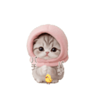 動く！スコティッシュ猫 ずっと使える日常（個別スタンプ：17）