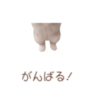 動く！スコティッシュ猫 ずっと使える日常（個別スタンプ：21）