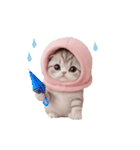 動く！スコティッシュ猫 ずっと使える日常（個別スタンプ：22）