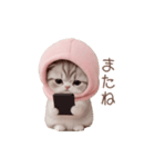 動く！スコティッシュ猫 ずっと使える日常（個別スタンプ：23）