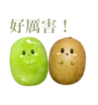 ぽってり キウイ ちゃん【台湾語のみ】（個別スタンプ：3）
