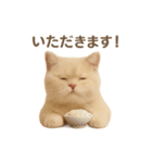 ネコしてます:いつものやつ 1（個別スタンプ：3）