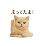 ネコしてます:いつものやつ 1（個別スタンプ：9）