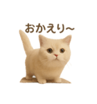 ネコしてます:いつものやつ 1（個別スタンプ：13）