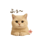 ネコしてます:いつものやつ 1（個別スタンプ：15）