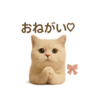 ネコしてます:いつものやつ 1（個別スタンプ：17）