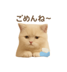 ネコしてます:いつものやつ 1（個別スタンプ：20）