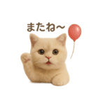 ネコしてます:いつものやつ 1（個別スタンプ：28）