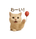 ネコしてます:いつものやつ 1（個別スタンプ：34）