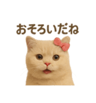 ネコしてます:いつものやつ 1（個別スタンプ：40）