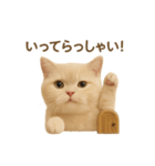 ネコしてます:いつものやつ 2（個別スタンプ：2）