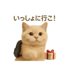 ネコしてます:いつものやつ 2（個別スタンプ：3）