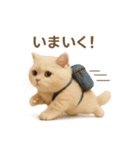 ネコしてます:いつものやつ 2（個別スタンプ：4）