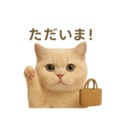 ネコしてます:いつものやつ 2（個別スタンプ：5）