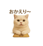 ネコしてます:いつものやつ 2（個別スタンプ：6）