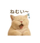 ネコしてます:いつものやつ 2（個別スタンプ：7）