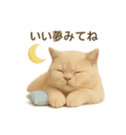 ネコしてます:いつものやつ 2（個別スタンプ：8）