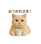 ネコしてます:いつものやつ 2（個別スタンプ：10）