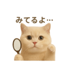 ネコしてます:いつものやつ 2（個別スタンプ：13）