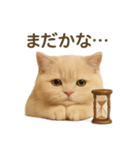 ネコしてます:いつものやつ 2（個別スタンプ：16）