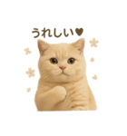 ネコしてます:いつものやつ 2（個別スタンプ：18）