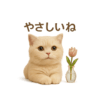 ネコしてます:いつものやつ 2（個別スタンプ：19）