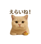 ネコしてます:いつものやつ 2（個別スタンプ：24）