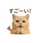 ネコしてます:いつものやつ 2（個別スタンプ：25）