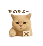 ネコしてます:いつものやつ 2（個別スタンプ：29）