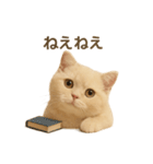ネコしてます:いつものやつ 2（個別スタンプ：32）
