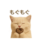 ネコしてます:いつものやつ 2（個別スタンプ：39）