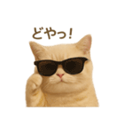 ネコしてます:いつものやつ 2（個別スタンプ：40）