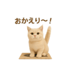 ネコしてます:いつものやつ 3（個別スタンプ：3）