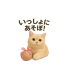 ネコしてます:いつものやつ 3（個別スタンプ：4）